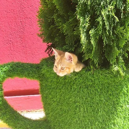 Отель περι ανεμων 2*